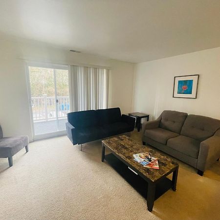 Large, Clean, Comfortable, 1Br Near Einstein Hos Elkins Park Екстер'єр фото