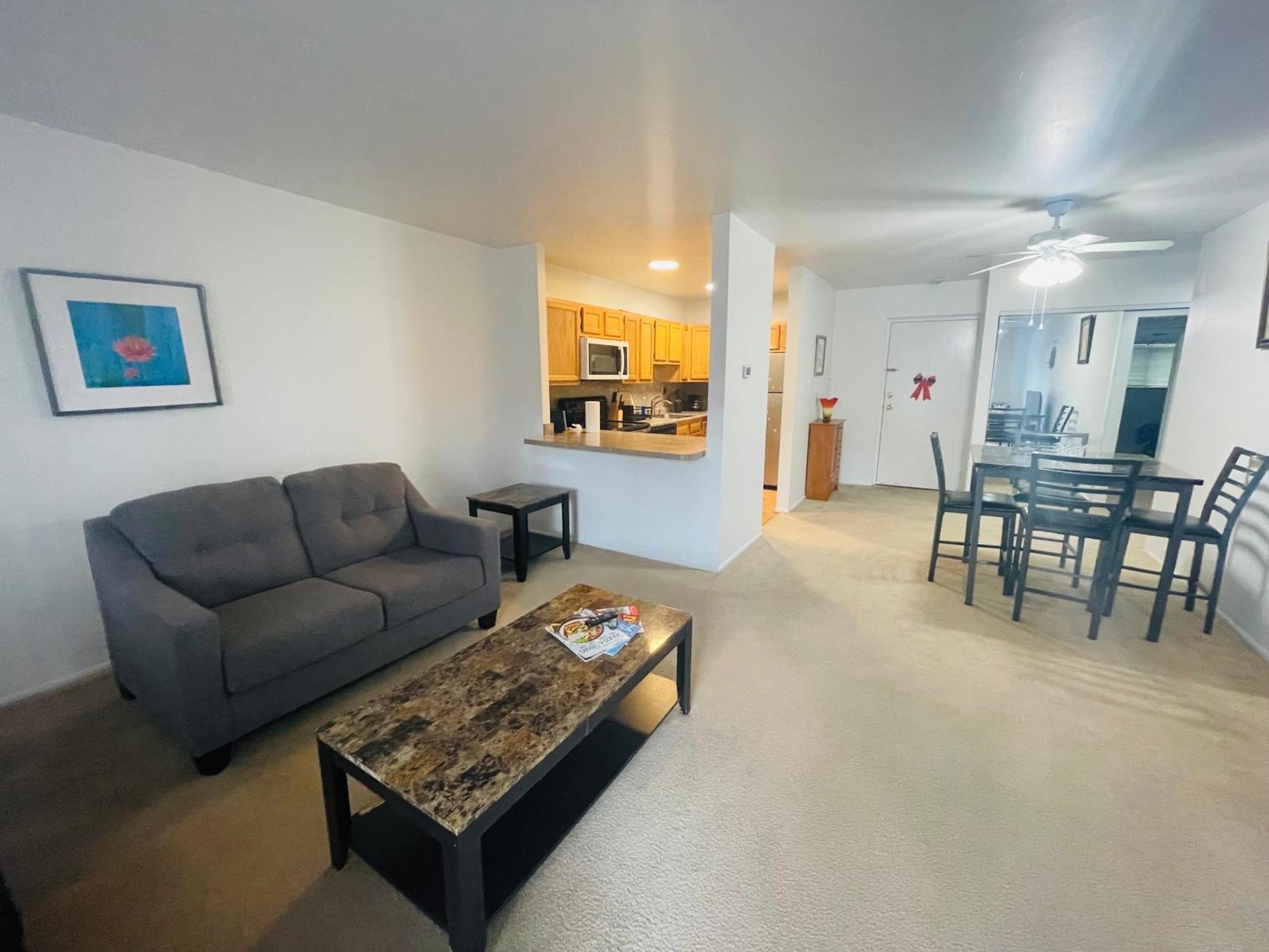 Large, Clean, Comfortable, 1Br Near Einstein Hos Elkins Park Екстер'єр фото